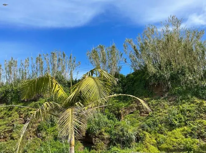 Vivenda Luxuosa ヴィラ *